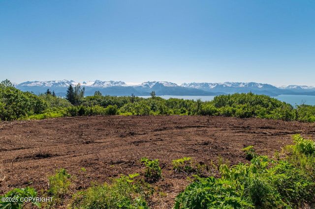 L3 Hutler Road, Homer, AK 99603