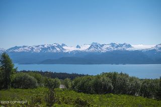 L3 Hutler Road, Homer, AK 99603