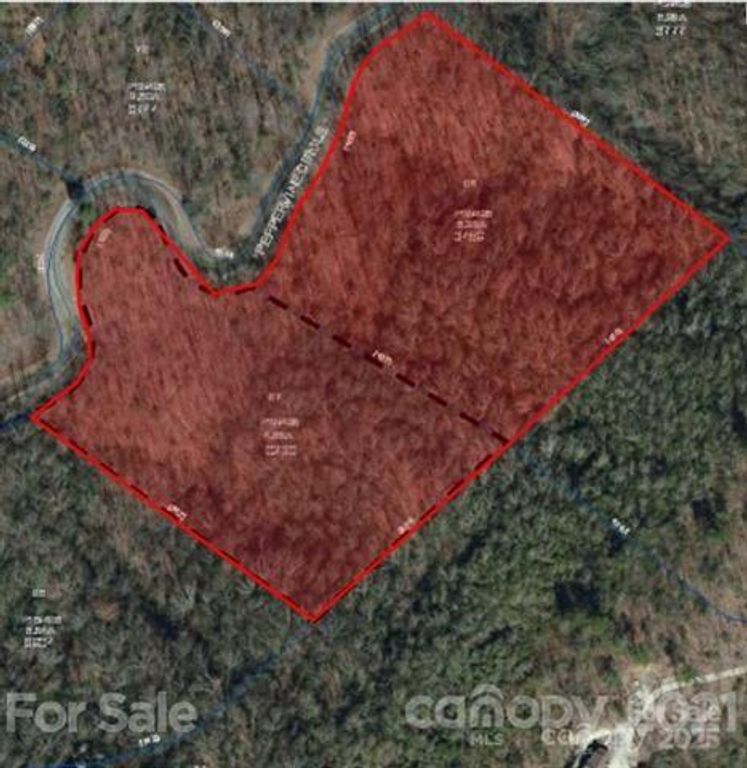 0000 Peppervine Circle 97/98, Rosman, NC 28772