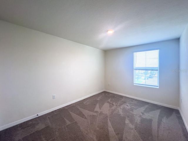 12181 DOWNY BIRCH DRIVE, Riverview, FL 33569