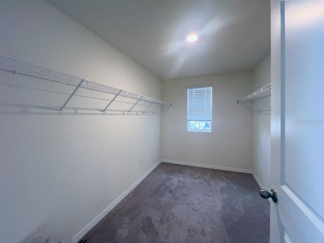 12181 DOWNY BIRCH DRIVE, Riverview, FL 33569