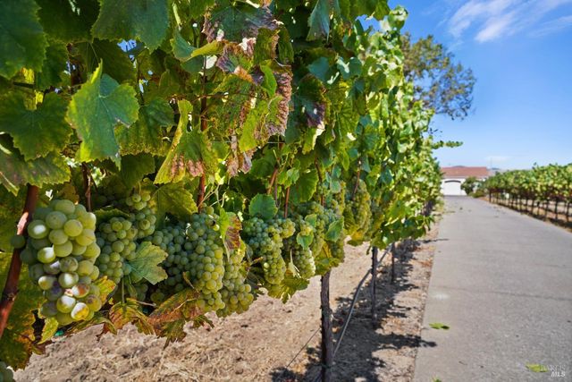 5267 Old Sonoma Rd, Napa, CA 94559
