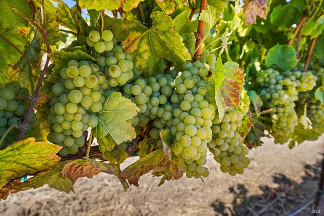 5267 Old Sonoma Rd, Napa, CA 94559