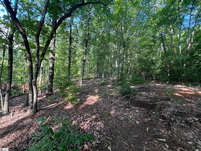 00 Beulah Land Way, Pickens, SC 29671