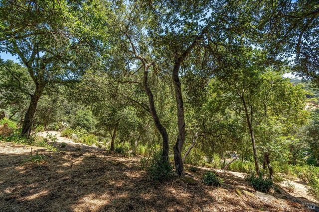 298 E Agua Caliente Rd, Sonoma, CA 95476