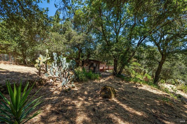 298 E Agua Caliente Rd, Sonoma, CA 95476