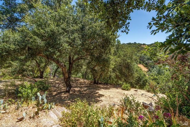 298 E Agua Caliente Rd, Sonoma, CA 95476