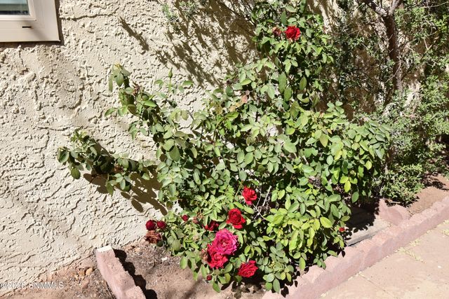 3213 Neptune Drive, Las Cruces, NM 88012