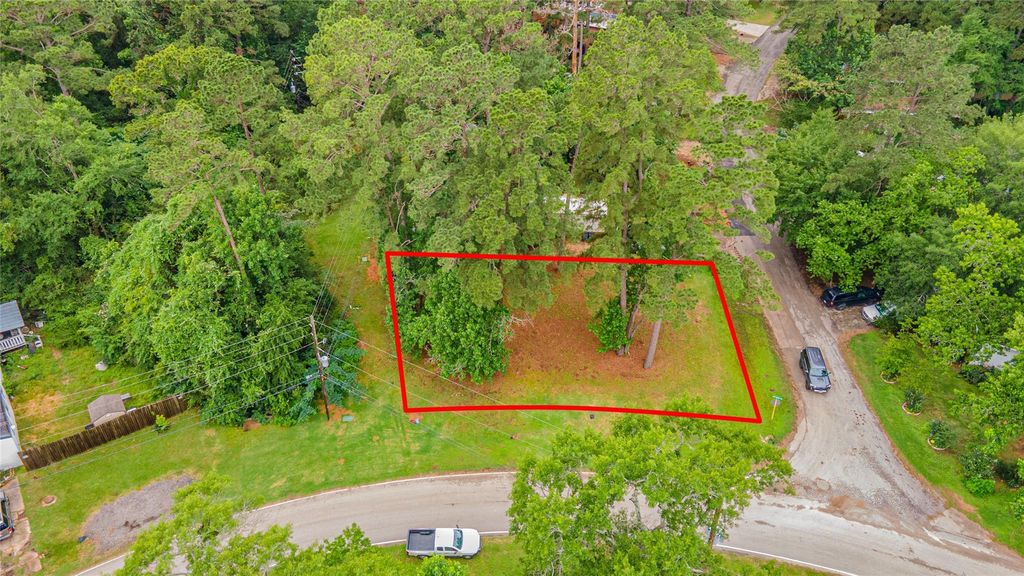 13149 S Lee Shore Drive, Willis, TX 77318