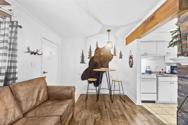 685 River Rd, Gatlinburg, TN 37738