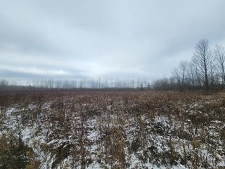 xxx 650th Street, River Falls, WI 54022