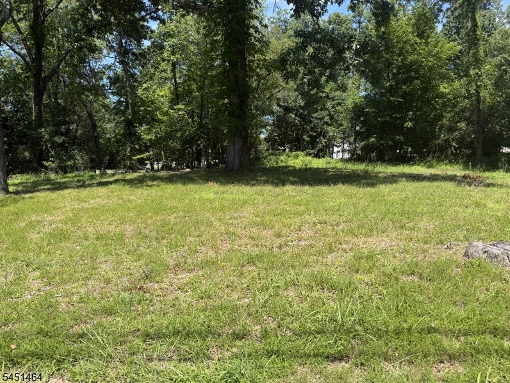 19 Montgomery Ave, Montville Twp., NJ 07045 — photo 2