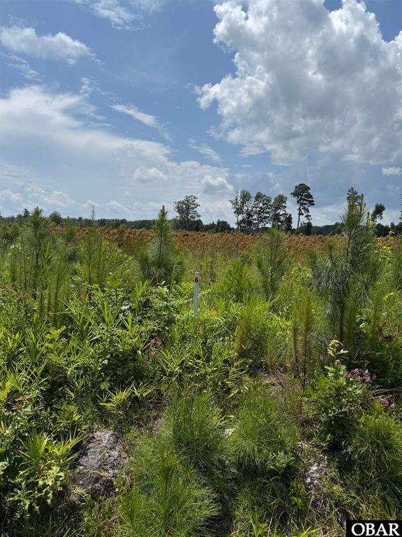 TBD Cove Road Lot #5, New Hope, NC 27944