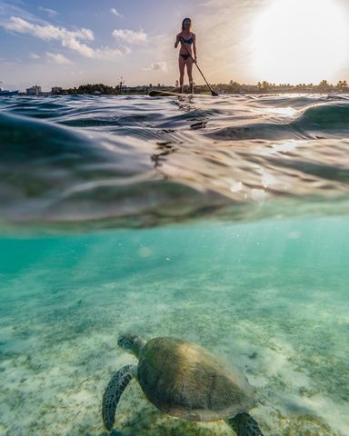 1135 Turnbridge Drive, Jupiter, FL 33458