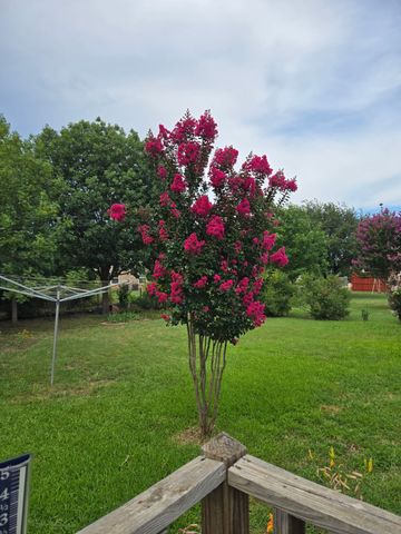 266 Old Spanish Trail, Valley View, TX 76272