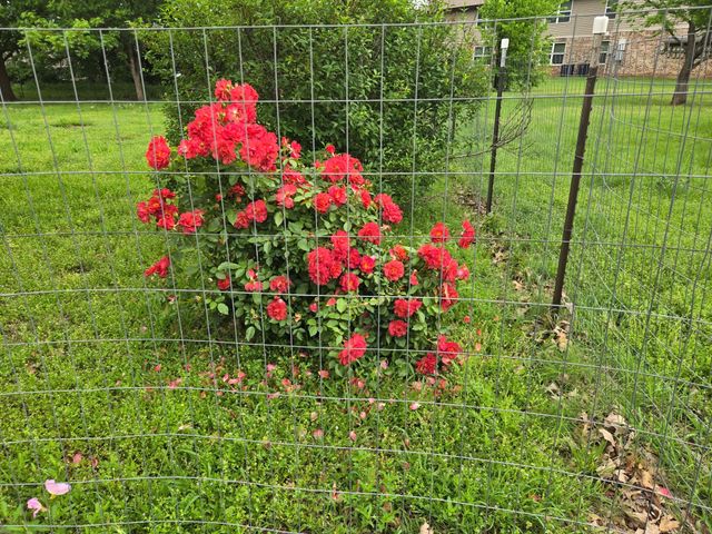 266 Old Spanish Trail, Valley View, TX 76272