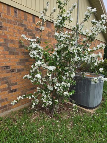 266 Old Spanish Trail, Valley View, TX 76272