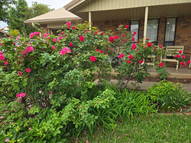 266 Old Spanish Trail, Valley View, TX 76272