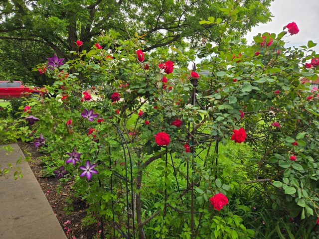 266 Old Spanish Trail, Valley View, TX 76272