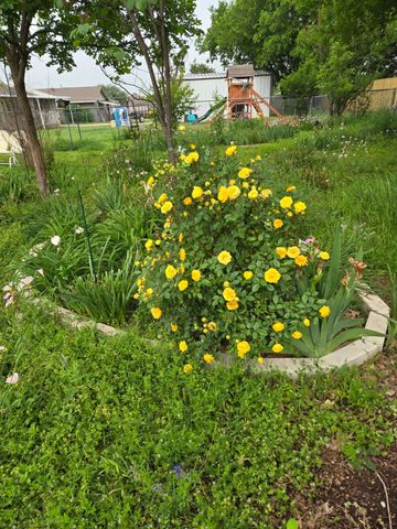 266 Old Spanish Trail, Valley View, TX 76272