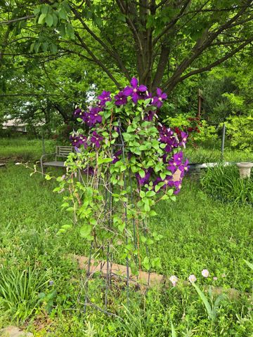 266 Old Spanish Trail, Valley View, TX 76272