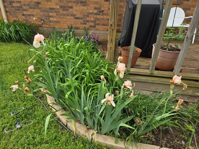 266 Old Spanish Trail, Valley View, TX 76272