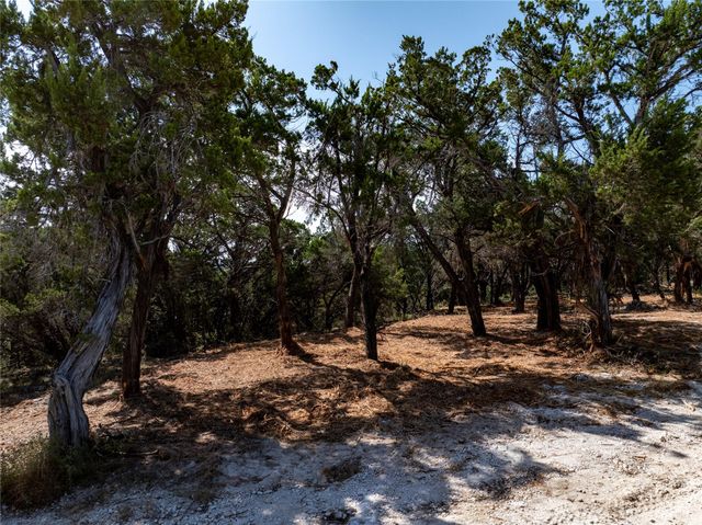 00 Mountain Top CIR, Jonestown, TX 78645