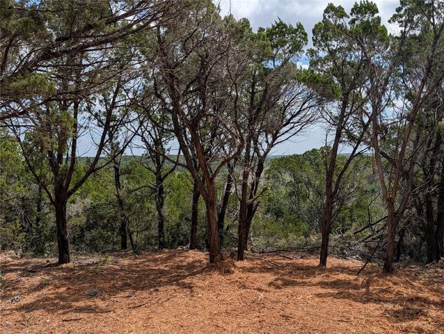 00 Mountain Top CIR, Jonestown, TX 78645