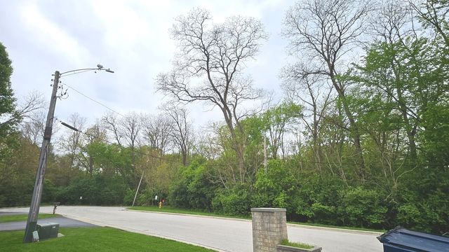 11225 S Kean Avenue 1A, Palos Hills, IL 60465