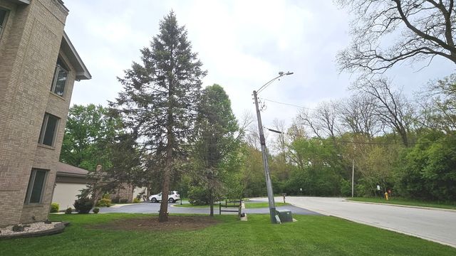 11225 S Kean Avenue 1A, Palos Hills, IL 60465