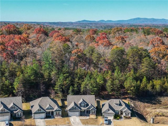 312 FLOWING Trail, Dawsonville, GA 30534