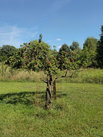 5435 State Road, Hillsdale, MI 49242