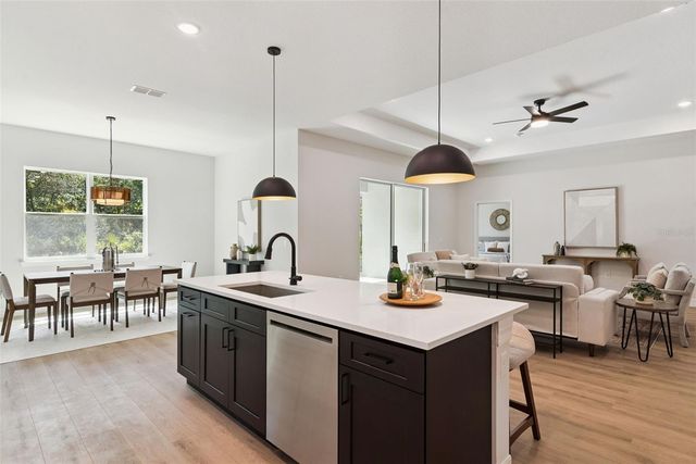 41650 LIGUSTRUM STREET, Eustis, FL 32736