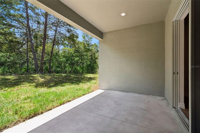 41650 LIGUSTRUM STREET, Eustis, FL 32736