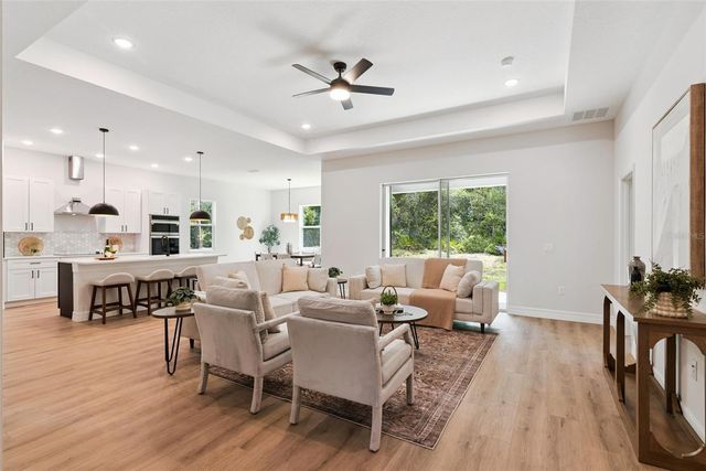 41650 LIGUSTRUM STREET, Eustis, FL 32736