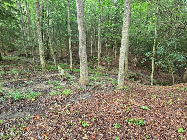 lot 244 Walking Horse Drive, Jamestown, TN 38556