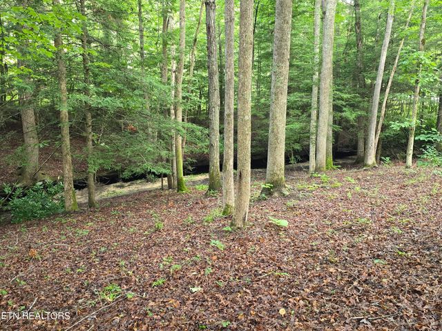 lot 244 Walking Horse Drive, Jamestown, TN 38556