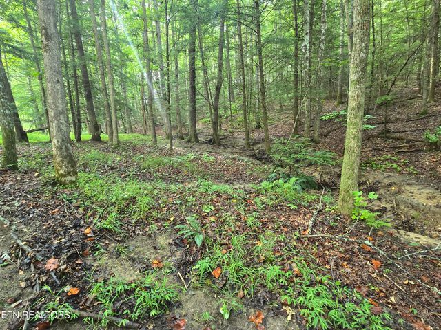 lot 244 Walking Horse Drive, Jamestown, TN 38556