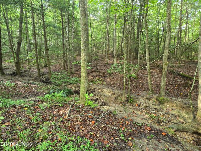 lot 244 Walking Horse Drive, Jamestown, TN 38556