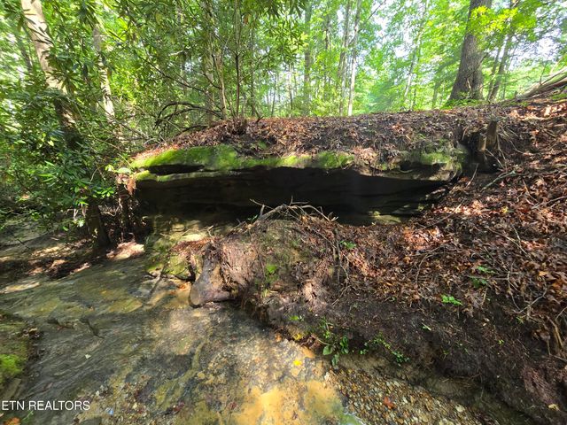 lot 244 Walking Horse Drive, Jamestown, TN 38556