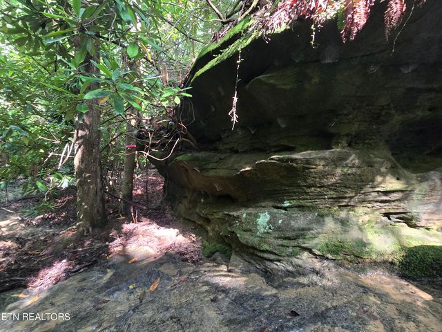 lot 244 Walking Horse Drive, Jamestown, TN 38556