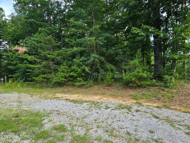 lot 244 Walking Horse Drive, Jamestown, TN 38556