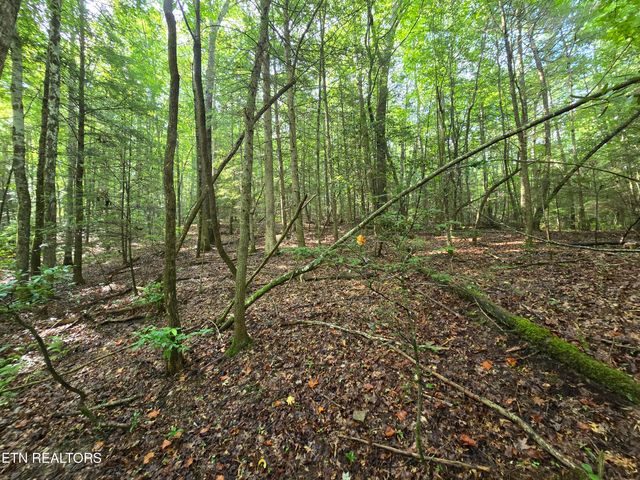 lot 244 Walking Horse Drive, Jamestown, TN 38556