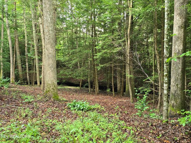 lot 244 Walking Horse Drive, Jamestown, TN 38556