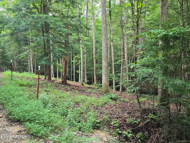 lot 244 Walking Horse Drive, Jamestown, TN 38556