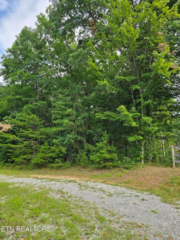 lot 244 Walking Horse Drive, Jamestown, TN 38556