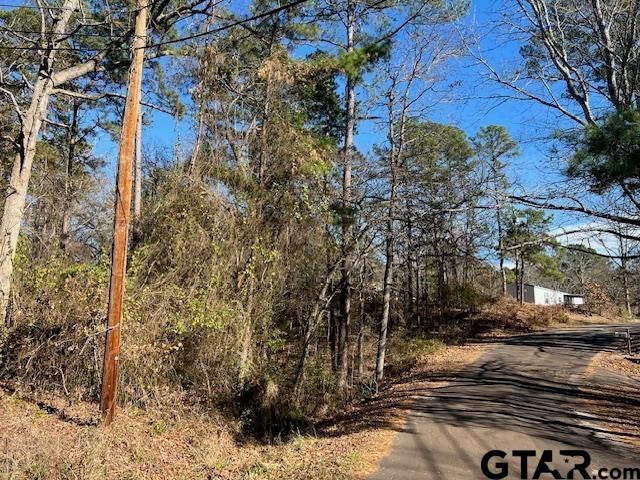 17323 Lakeview Dr, Flint, TX 75762