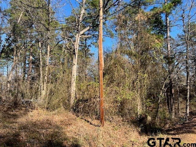 17323 Lakeview Dr, Flint, TX 75762