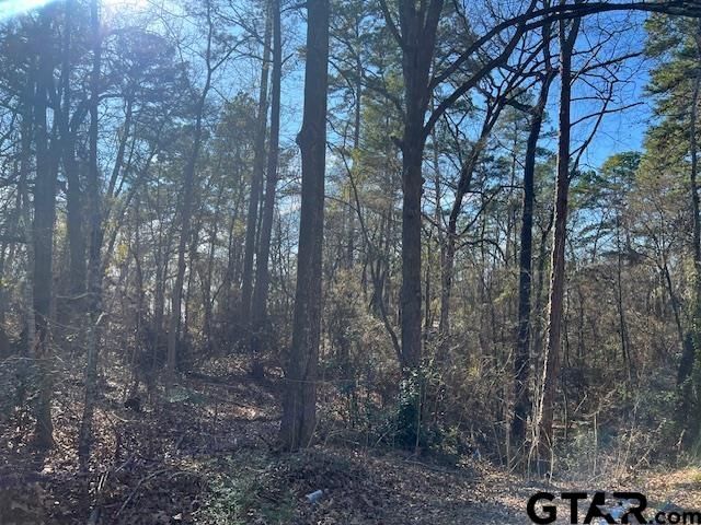 17323 Lakeview Dr, Flint, TX 75762