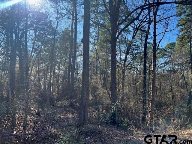 17323 Lakeview Dr, Flint, TX 75762